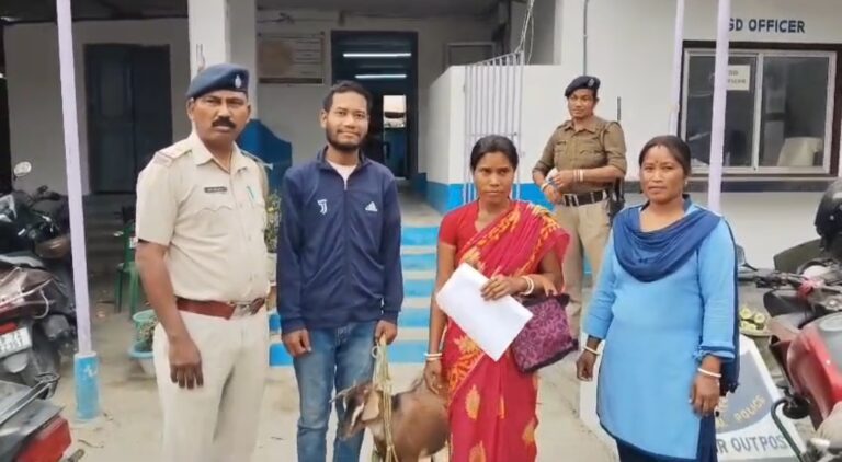 মালিকের হাতে ফিরল গৃহপালিত পশু, স্বস্তি নবনগরে।