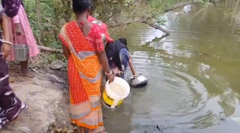 পুকুরের জলেই ভরসা গ্রামবাসীর, ক্ষোভে ফুঁসছে আদিবাসী পরিবার।