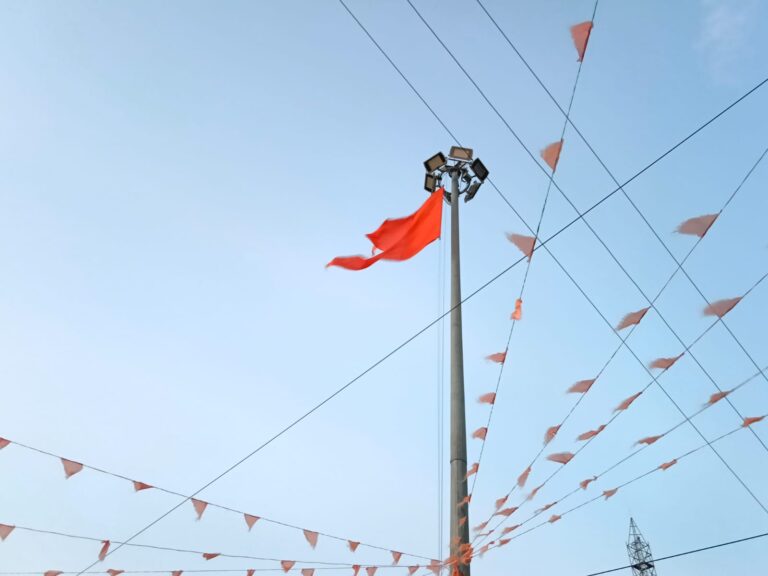 বিশাল শোভাযাত্রায় মুখর কোম্পানিরঠেক বাজার, উচ্ছ্বাস বিজেপি কর্মীদের।