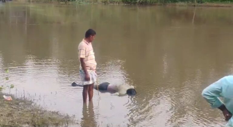 ধান বোঝাই নৌকোডুবির মর্মান্তিক পরিণতি, উদ্ধার এক শ্রমিকের দেহ।