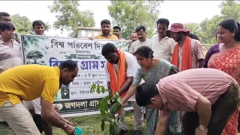 সবুজায়নের বার্তা নিয়ে বিদ্যালয় থেকে পার্ক— একাধিক কর্মসূচিতে অংশ মন্ত্রীর।