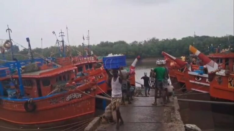 ডায়মন্ড হারবারে প্রায় ১০০ টন ইলিশ, রাজ্যজুড়ে সরবরাহে আশার আলো।