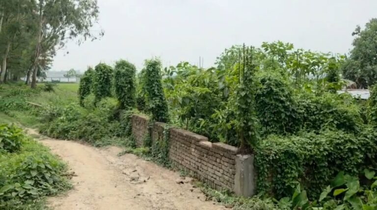 ২ লক্ষ ৩০ হাজার টাকা প্রতারণার অভিযোগে মালদায় ধৃত তৃণমূল নেতার ভাই।