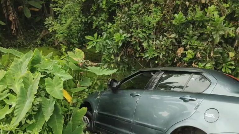 গাড়ি চালানো শেখার সময় নিয়ন্ত্রণ হারিয়ে নয়ানজুলিতে চারচাকা, অল্পের জন্য বড় দুর্ঘটনা এড়াল।