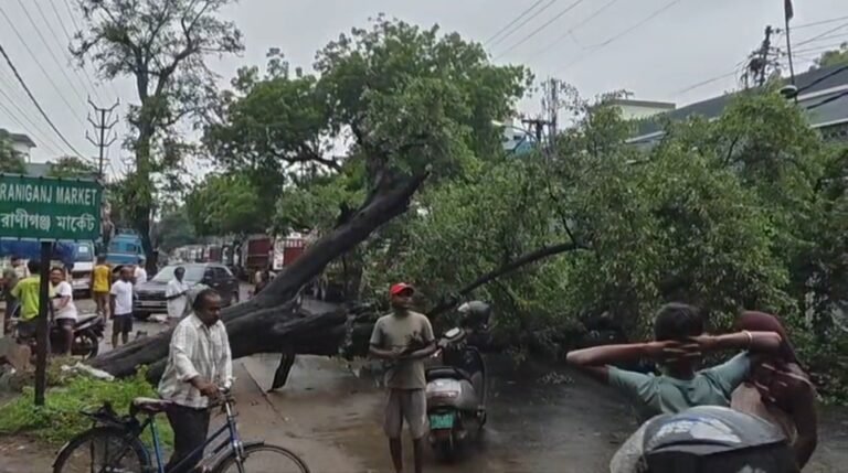 ভোরে জাতীয় সড়কে আছড়ে পড়ল বিশাল গাছ, রানীগঞ্জে ৮-১০ কিমি দীর্ঘ যানজট।