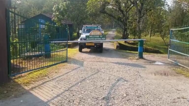 জঙ্গল খুলতেই পর্যটকদের ভিড়, জলদাপাড়া-চিলাপাতা-বক্সায় উৎসবের আবহ।