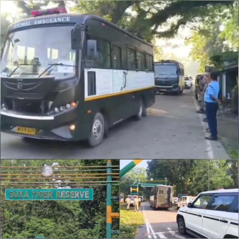 হাসিমারা এয়ারফোর্স থেকে কনভয়ে বক্সায় নতুন অতিথি, ২ অক্টোবর জঙ্গলে ছাড়ার প্রস্তুতি।